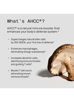 Premium Kinoko Gold AHCC Supplement-500mg of AHCC per Capsule-Supports Immune Health, Liver Function, Maintains Natural Killer Cell Activity & Enhances Cytokine Production-60 Veggie Capsules - pzsku/Z2BA2E1494E995CA81331Z/45/_/1735907960/da4f8252-1453-495c-86a8-e89d293ed33d