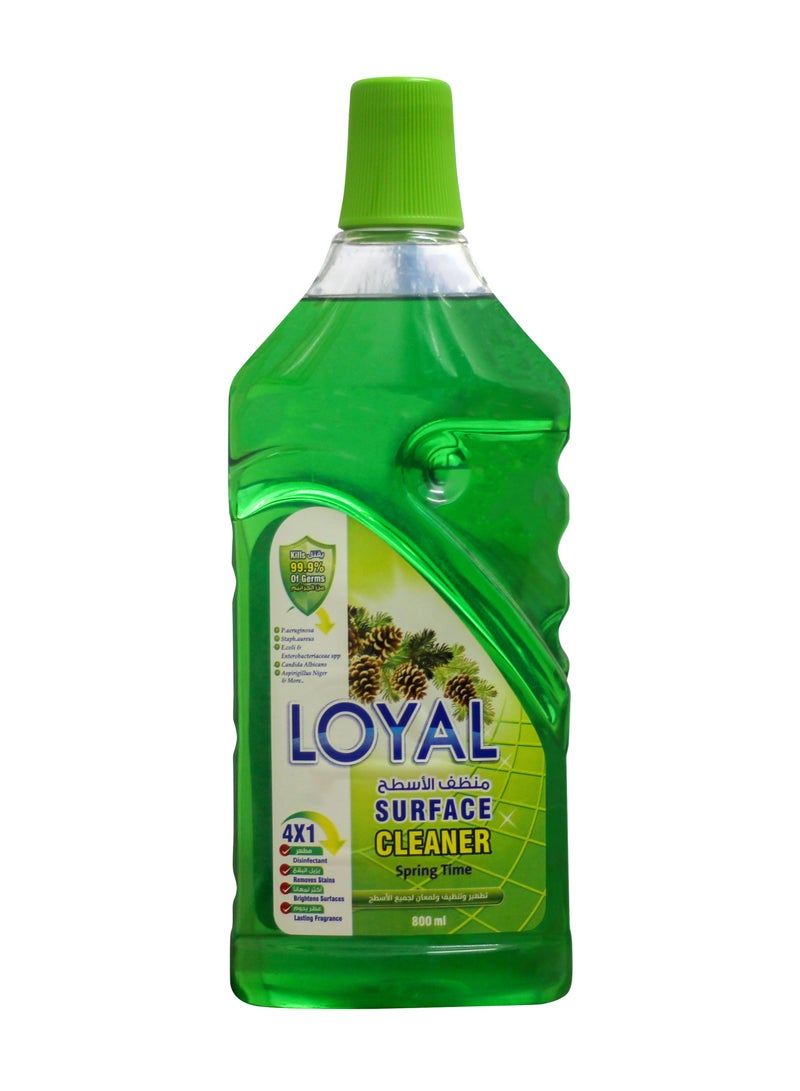 Loyal Surface Cleaner Liquid, Spring Time, Green, 800ml - Image 1
