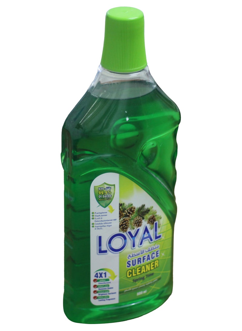 Loyal Surface Cleaner Liquid, Spring Time, Green, 800ml - Image 2