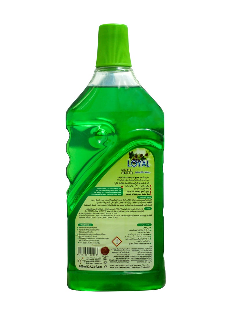 Loyal Surface Cleaner Liquid, Spring Time, Green, 800ml - Image 3