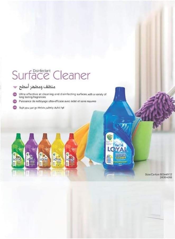 Loyal Surface Cleaner Liquid, Spring Time, Green, 800ml - Image 4
