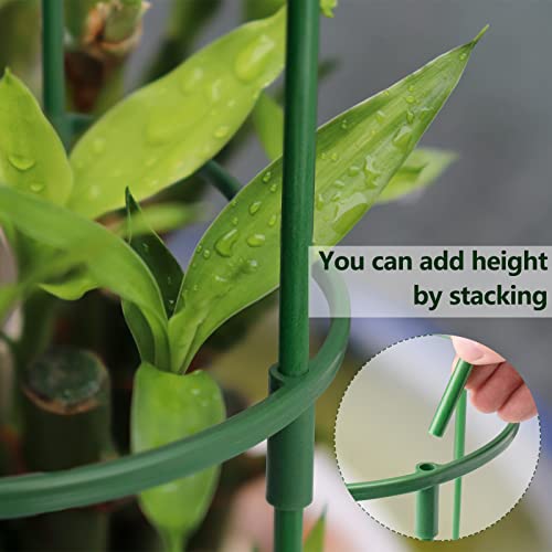kulusion 12Packs Plant Support Stake Half Round Plant Support, Stackable 3 Tier Garden Flower Support, Plant Stakes for Indoor Outdoor Plants for Tomato,Monstera, Peony, Hydrangea, Climbing Plants - Image 5