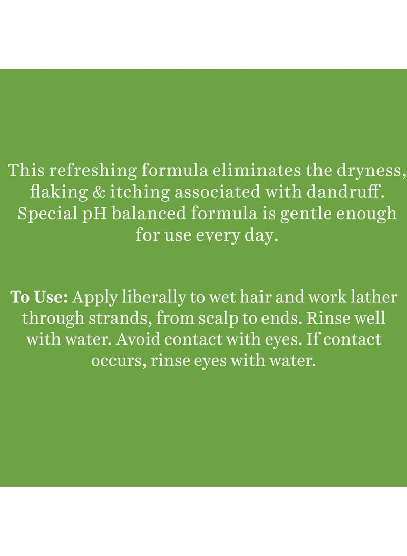 بيوتيك شامبو بلسم فريش نيم مضاد للقشرة يتحكم في قشرة الرأس ويقلل من جفاف الشعر وتقشره ويجعل الشعر لامعاً 650 مل - Image 2