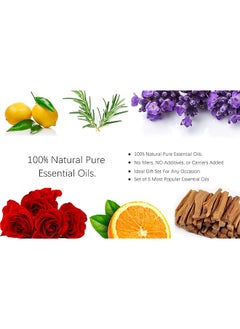 إيروريكس مجموعة زيوت عطرية نقية 100% من Pure Aroma مجموعة هدايا زيوت العلاج بالروائح العطرية 6 قطع × 10 مل للعناية المنزلية وصناعة الشموع ومرطبات العلاج بالروائح العطرية والهدايا  - Image 2
