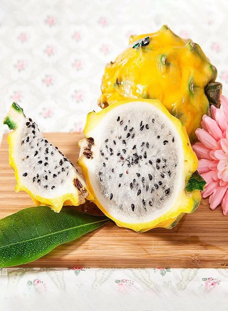 GGOOT Plant Seed 30Pcs/Bag Hylocereus Megalanthus Seeds Succulent Water Demand Yellow Fruit Prolific Hylocereus Megalanthus Seeds for Orchard - Hylocereus megalanthus Seeds - Image 1