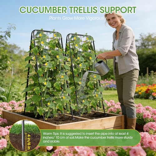 MQHUAYU Heavy Duty Cucumber Trellis，50"x17" Adjustable A-Frame Trellis for Climbing Plants，100%Metal Mesh Design,Rust-Proof and UV-Resistant，Garden Trellis for Cucumber Beans and Vine Type Plants.Black &1Pcs - Image 4