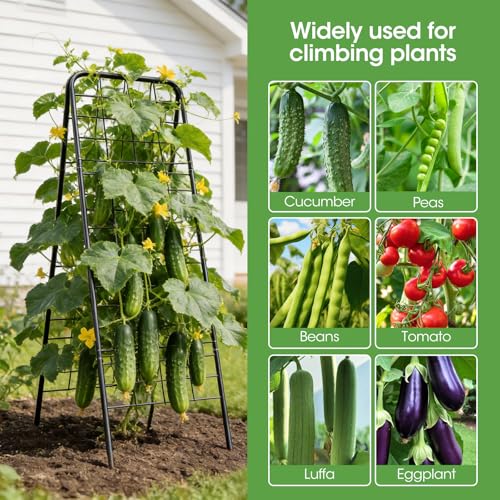 MQHUAYU Heavy Duty Cucumber Trellis，50"x17" Adjustable A-Frame Trellis for Climbing Plants，100%Metal Mesh Design,Rust-Proof and UV-Resistant，Garden Trellis for Cucumber Beans and Vine Type Plants.Black &1Pcs - Image 5