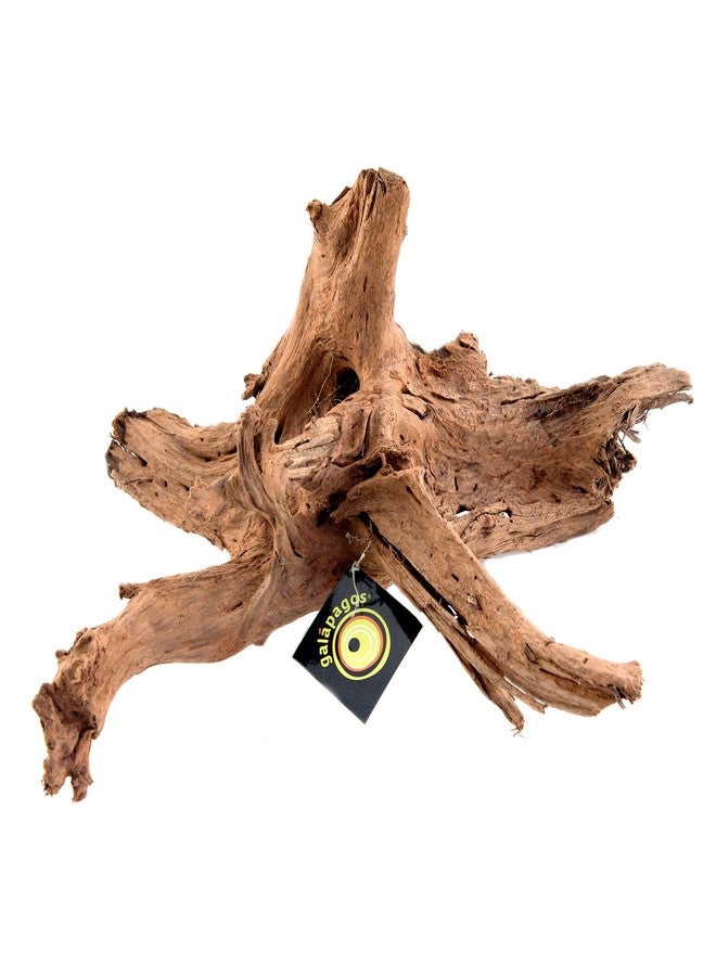 Galapagos Galápagos (05285) Sinkable Driftwood Bed, Natural, Medium/11-13" - Image 1