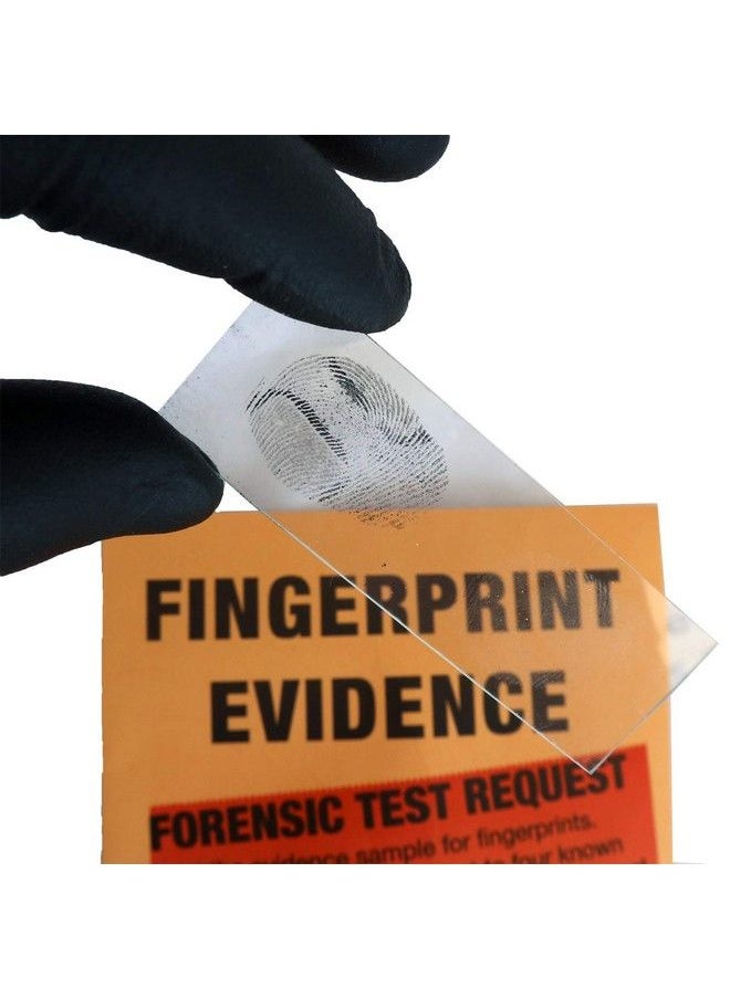 Crime Scene - Forensic Science Kit: Solve The Missy Hammond Murder - Image 1