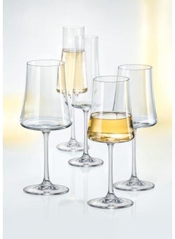 Xtra Wine Glass 360 ml Set of 6 - pzsku/Z2BA6EC0211C6CAC2542FZ/45/_/1725793739/6b935eed-4841-4c89-b263-ef31b7ab15a0