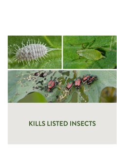 Garden Safe Garden Safe Insect Killer, Diatomaceous Earth, 1 Pack  - Image 2