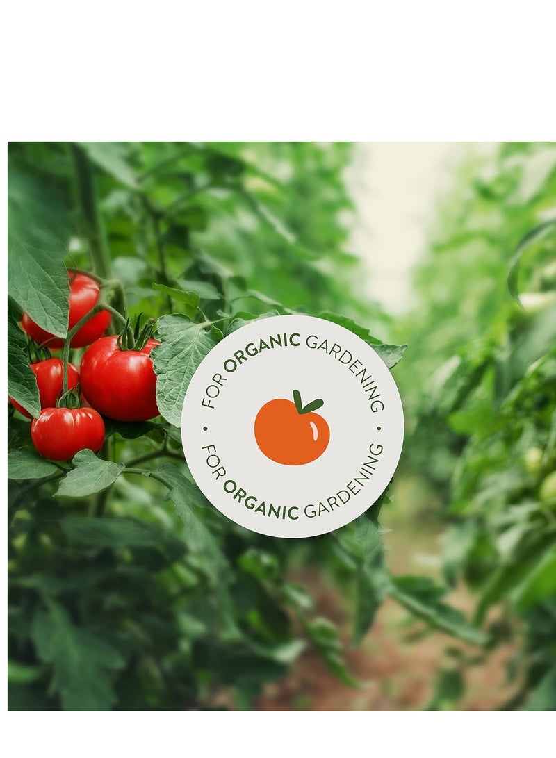 Garden Safe قاتل الحشرات الآمن للحديقة، تراب الدياتومي، عبوة واحدة  - Image 3