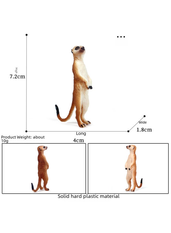 Children's Simulation Animal Model Toy With Baby Meerkat Standing Meerkat Meerkat Meerkat Meerkat Meerkat Meerkat t Beaver Ornaments-Color:Tb Jungle Animal 4 Style Set A (including Bat) - Image 4