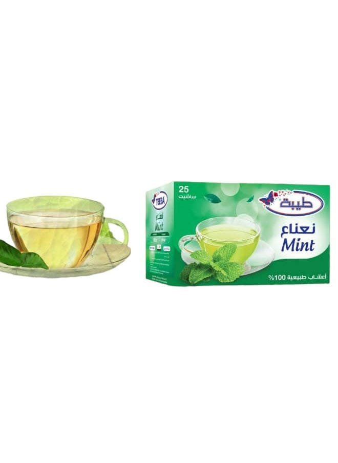 طيبة مشروب النعناع 