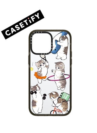 Playful Cats on a Clear Background