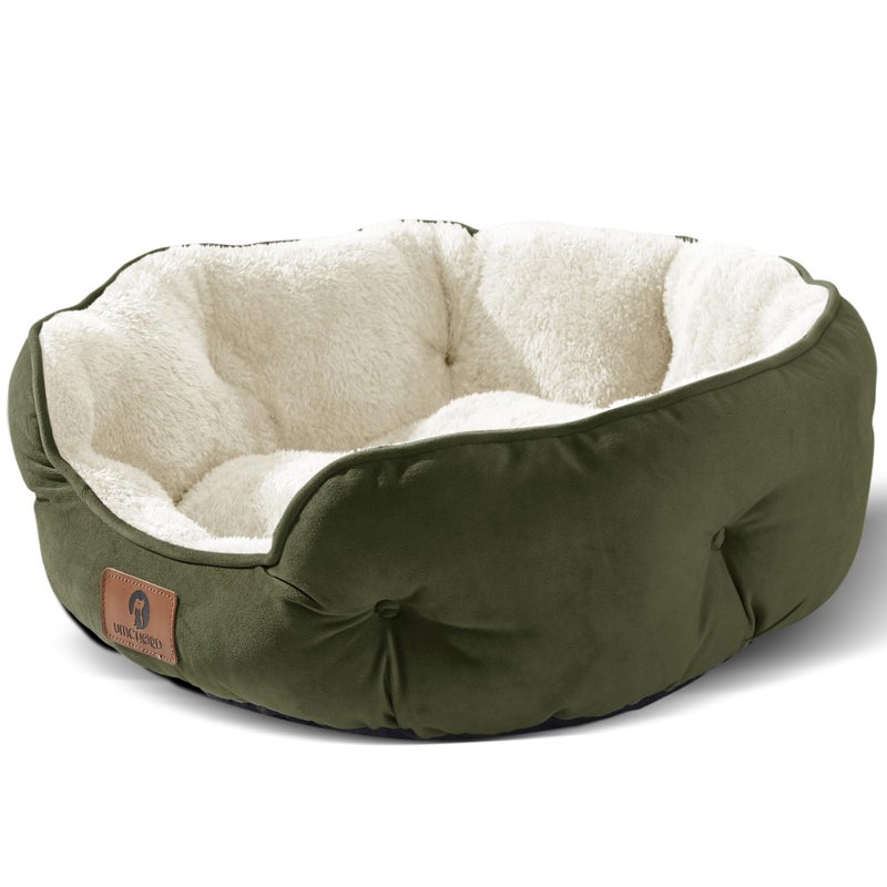 Asvin Small Dog Bed for Small Dogs Cat Beds for Indoor Cats Pet Bed for Puppy and Kitty Extra Soft Machine Washable with AntiSlip WaterResistant Oxford Bottom Green 20 inches