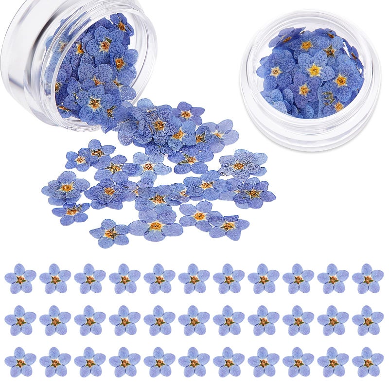 Nuanchu Natural Forgetmenot Dried Flowers Dont Forget Me Dried Real Pressed Flowers for Jewelry Candle Card Making DIY Resin Ornaments Nail Art Decorations200 Pieces