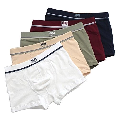 Blueleyu Boys/Toddler Boys Boxer Briefs Underwear 5 Pieces Cotton Briefs Set for Little and Big Boys (Size 4-5) - Image 1