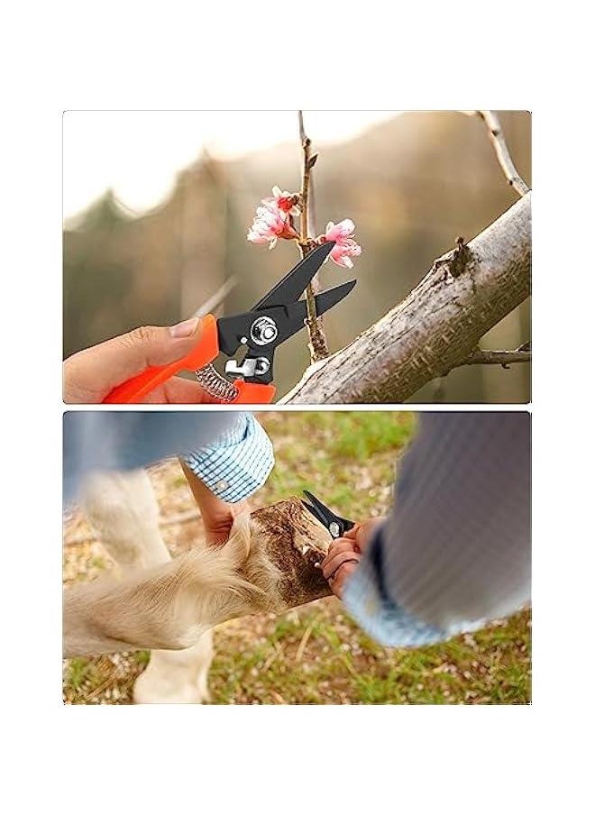 Arabest Hoof Trimmers Goat Hoof Trimming and Mini Rasp Hoof File, 7 Multipurpose Nail Scissors Daily Trim and 5 Rasp for  Trotters, Sheep, Alpaca, Lamb and Pruning Potted Plants  - Image 5