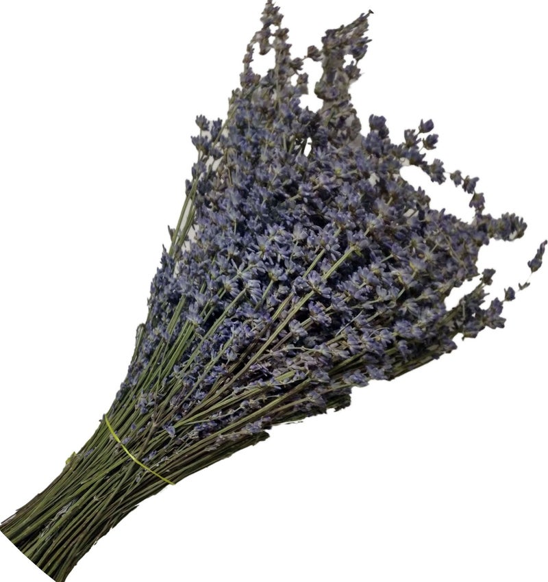 Lavender Bunch from Isparta Purple