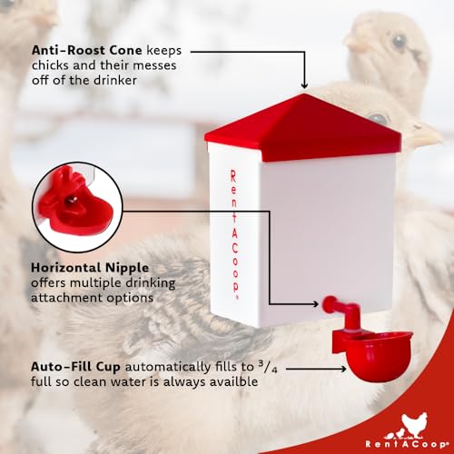 RentACoop 64oz(2L) Automatic Drinker - BPA-Free Waterer with Auto-Fill Cup - Suitable for Chicks, Quail, Pigeons, Doves, and Other Smaller Birds - Image 3