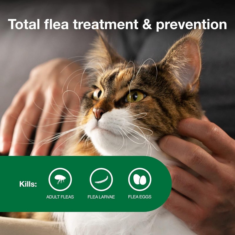 Advantage II Large Cat Vet-Recommended Flea Treatment & Prevention | Cats Over 9 lbs. | 1-Month Supply - Image 3