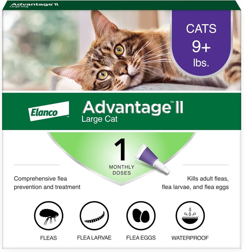 Advantage II Large Cat Vet-Recommended Flea Treatment & Prevention | Cats Over 9 lbs. | 1-Month Supply - Image 1