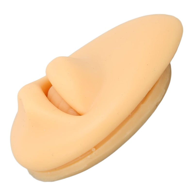 klarako Silicone Mouth Model, for Body Part Display Teaching Tool, Simulation Human Mouth, Fake Mouth Model, Artificial Mouth Mode,l Mouth Display Tool - Image 4