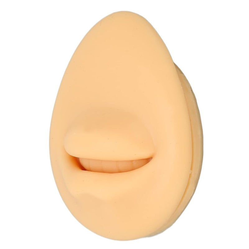 klarako Silicone Mouth Model, for Body Part Display Teaching Tool, Simulation Human Mouth, Fake Mouth Model, Artificial Mouth Mode,l Mouth Display Tool - Image 5