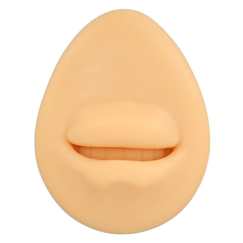 klarako Silicone Mouth Model, for Body Part Display Teaching Tool, Simulation Human Mouth, Fake Mouth Model, Artificial Mouth Mode,l Mouth Display Tool - Image 2