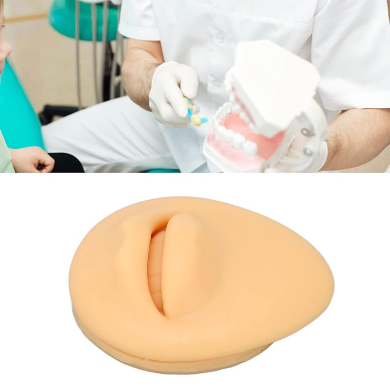 klarako Silicone Mouth Model, for Body Part Display Teaching Tool, Simulation Human Mouth, Fake Mouth Model, Artificial Mouth Mode,l Mouth Display Tool - Image 3