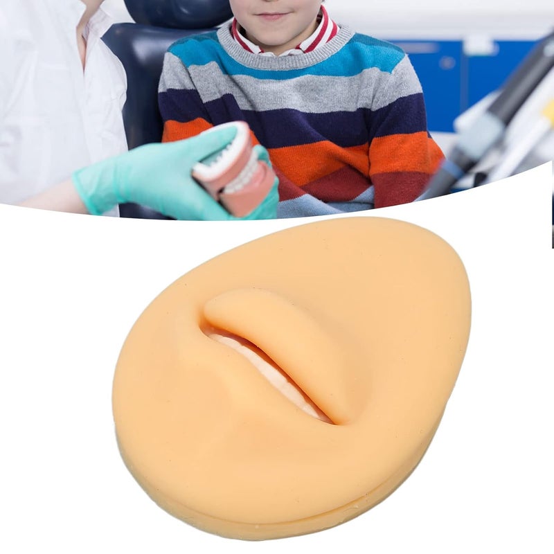 klarako Silicone Mouth Model, for Body Part Display Teaching Tool, Simulation Human Mouth, Fake Mouth Model, Artificial Mouth Mode,l Mouth Display Tool - Image 1