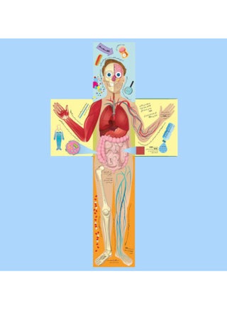 The Human Body from the Outside in DK - pzsku/Z2BAF9EF2552C93218A2CZ/45/1742796474/565fa030-2558-49b2-a4b6-9a9218b19b42