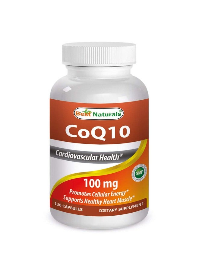 Best Naturals COQ10 100 mg 120 Capsules - pzsku/Z2BAFF115F6A686704CC1Z/45/_/1739883074/e8995220-ca46-4a88-8e55-c7d409d8c42b