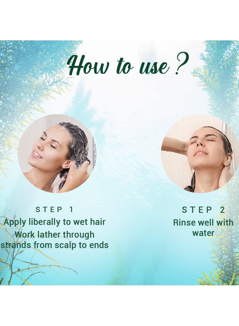 بيوتيك شامبو Ocean Kelp المضاد لسقوط الشعر | نمو مكثف للشعر Therapy| شامبو مضاد لسقوط الشعر يحافظ على لمعان |100٪ من المستخلصات النباتية | مناسبة لجميع أنواع الشعر |500ml - Image 4