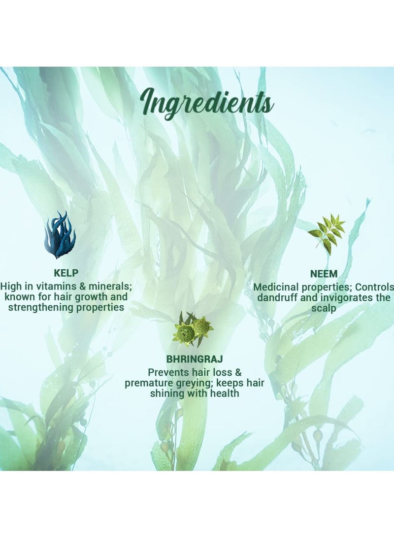 بيوتيك شامبو Ocean Kelp المضاد لسقوط الشعر | نمو مكثف للشعر Therapy| شامبو مضاد لسقوط الشعر يحافظ على لمعان |100٪ من المستخلصات النباتية | مناسبة لجميع أنواع الشعر |500ml - Image 2