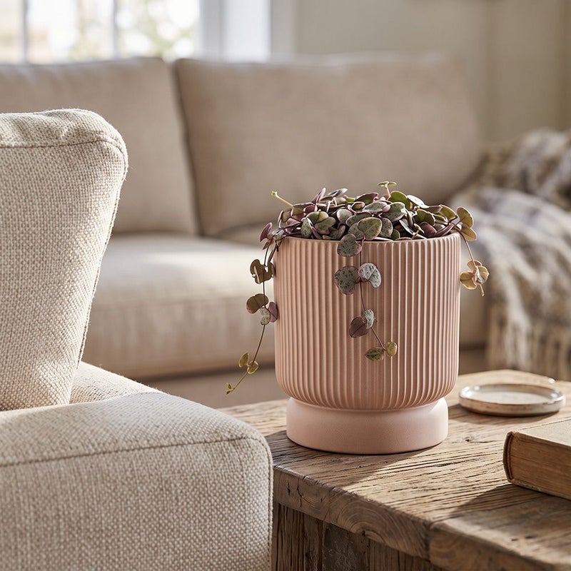 DANUBE HOME Ceramic Pot - 13.5X13.5X14.5 Terracotta, Multi Color, Refined Pot, Ceramic ,For Displaying Flowers, Herbs, Shrubs, Ornamental Plants - Image 1