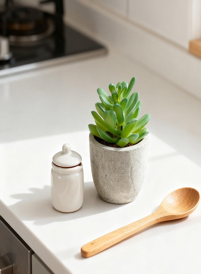 ABAJI Mini 4 Succulents Plants Artificial in Pots Fake Plants for Bedroom Aesthetic Living Room Shelf Bathroom Decor Office Desk Accessories - Image 5