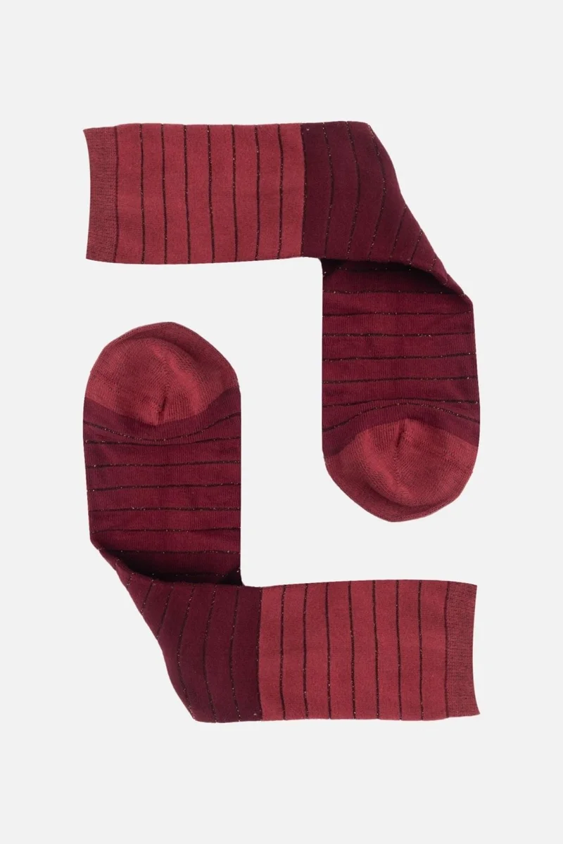 Aytuğ Women's Cotton 4 Pairs Specially Boxed Multicolored Socks - 41075