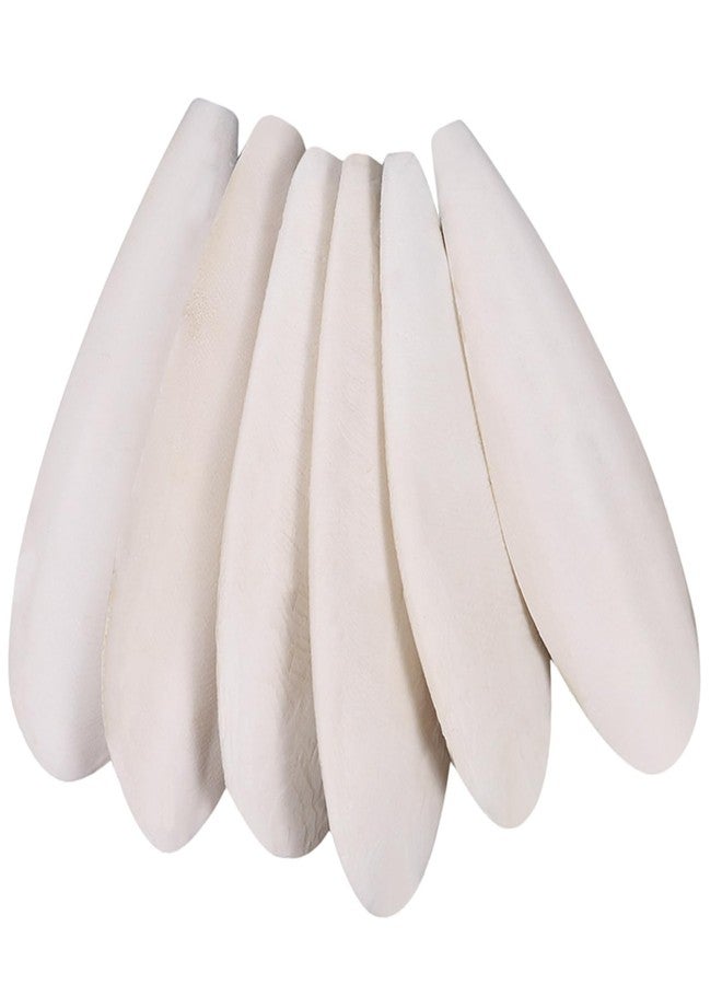 HEQU 6 Pcs Natural Cuttlebone Parakeets Pure Cuttlebone Calcium Stone for Tortoise Parakeets Canaries Cockatiels Turtles Cockatiel 9.5-10.4cm/3.7-4 inch - Image 1