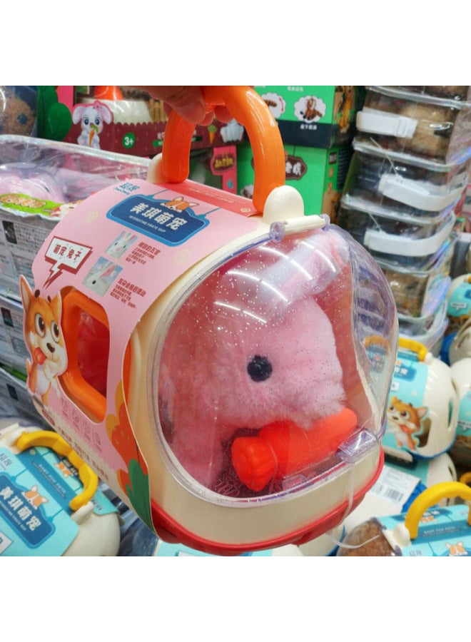 Chao Sheng Toy 966 Children's Play-house Toy Simulation Walking Will Call Rabbit Puppy Toy Gift Prize-Color:021 Puppy + Small House - Image 3