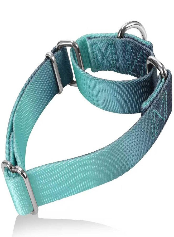 Axdvk Martingale Dog Collar Colorful Gradient Fashionable - Anti-Escape Soft Durable Pets Collar for Walking Training Outdoor Daily Use -Medium, Teal Gradient - Image 1