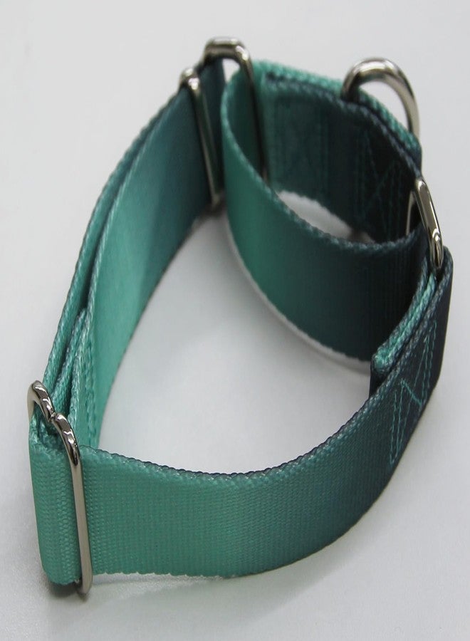 Axdvk Martingale Dog Collar Colorful Gradient Fashionable - Anti-Escape Soft Durable Pets Collar for Walking Training Outdoor Daily Use -Medium, Teal Gradient - Image 2