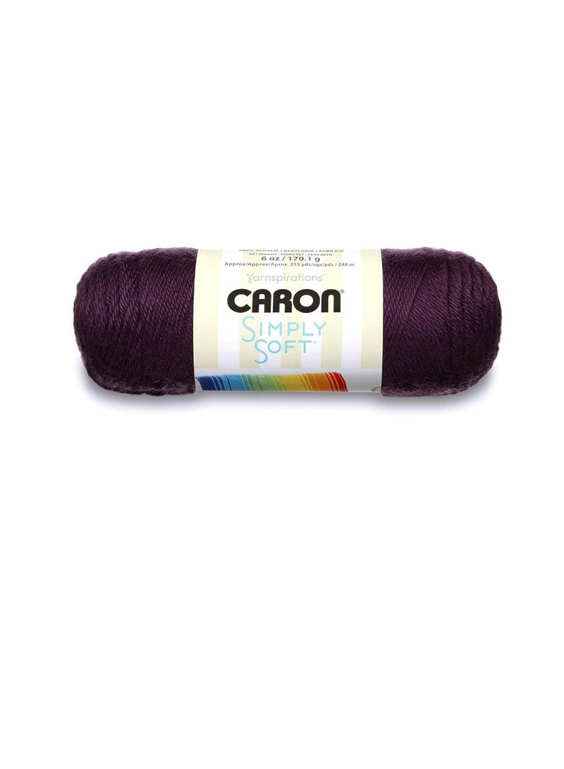 CARON Simply Soft Solids Yarn Plum Perfect - Image 1