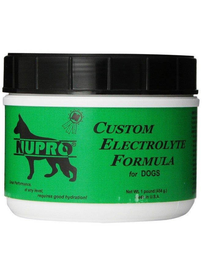 Nupro Nupro Custom Electrolyte Formula for Dogs (1 lb)  - Image 1