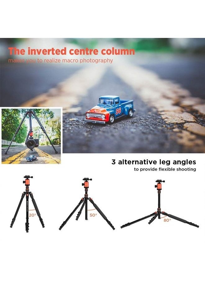 GEEKOTO - 77'' Tripod, Camera Tripod for DSLR, Compact Aluminum Tripod with 360 Degree Ball Head and 8kgs Load for Travel and Work - Image 1