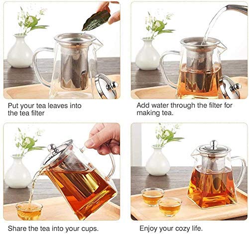 ROY Borosilicate Square Glass Heat Resistant Stainless Steel Infuser Tea Pot ( 550ML) - Image 2