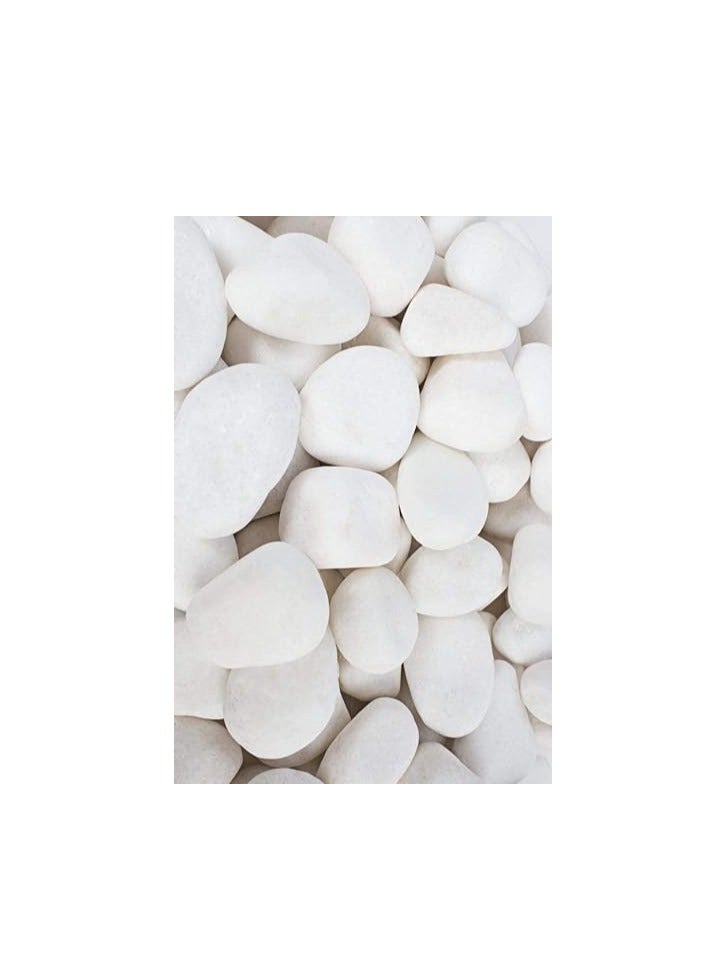 لاماك كرافتس الحصى البيضاء