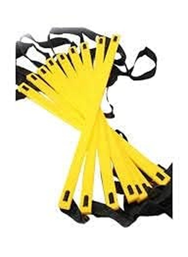 DESCTIDY سلم ديسكتيدي 4 أمتار للياقة البدنية والرشاقة، مزود بخاصية تعديل السرعة الفائقة، مثالي لتدريبات ألعاب القوى، أفضل سلم للتمارين المنزلية، معدات لياقة بدنية متينة للرجال والنساء - Image 5