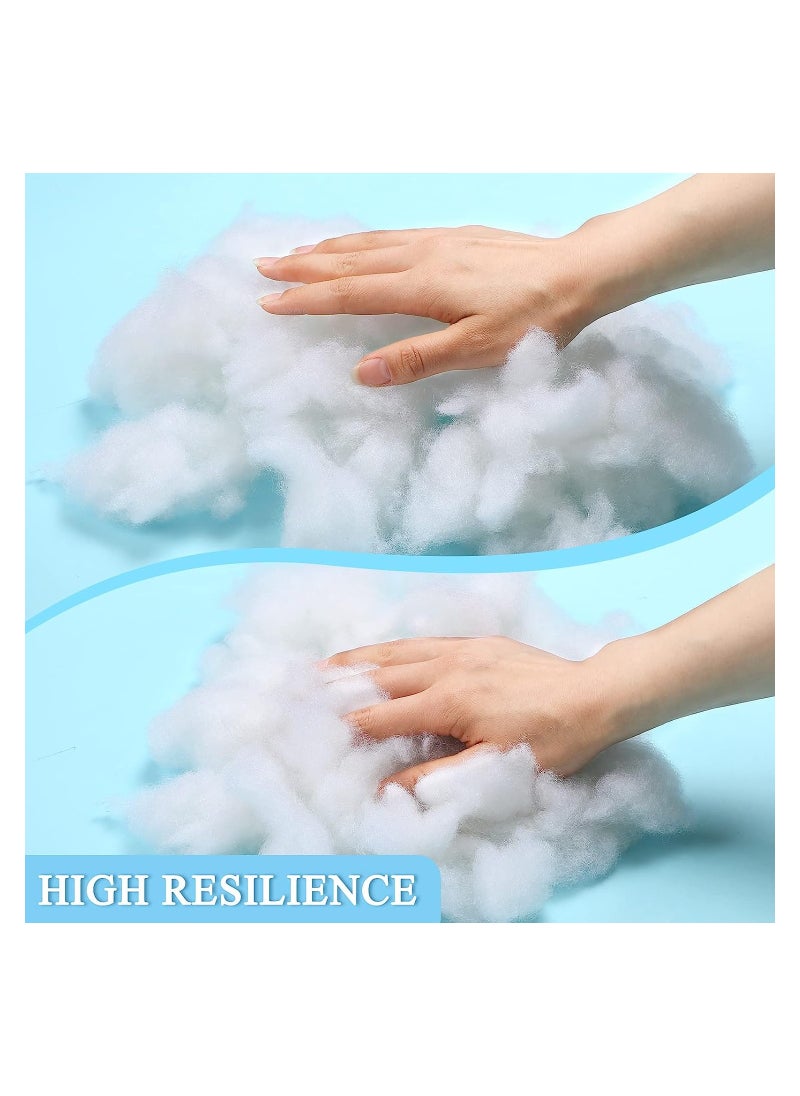 Eworld - White Polyester Filling Fluffy High Resilience Stuffing for Cushions, Pillows, Teddy Bear and Toy Hypoallergenic Lofty Hollow Filling for Sofas and Bedding, (500, 1000, 1500, 2000, 3000, 4000, 5000g) - Image 1